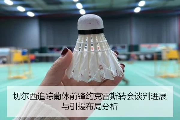 切尔西追踪葡体前锋约克雷斯转会谈判进展与引援布局分析