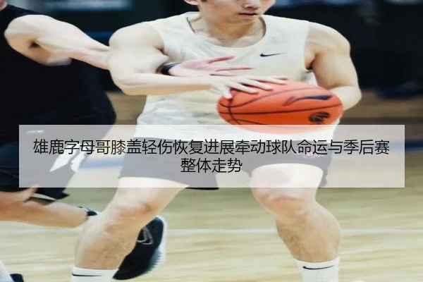 雄鹿字母哥膝盖轻伤恢复进展牵动球队命运与季后赛整体走势
